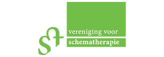 Logo VST, partner Breinwijzers