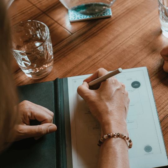 Download model van functioneren Breinwijzers